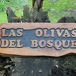 Cabañas Las Olivas