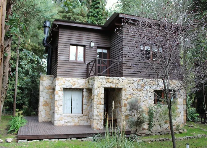 Cabañas Las Olivas