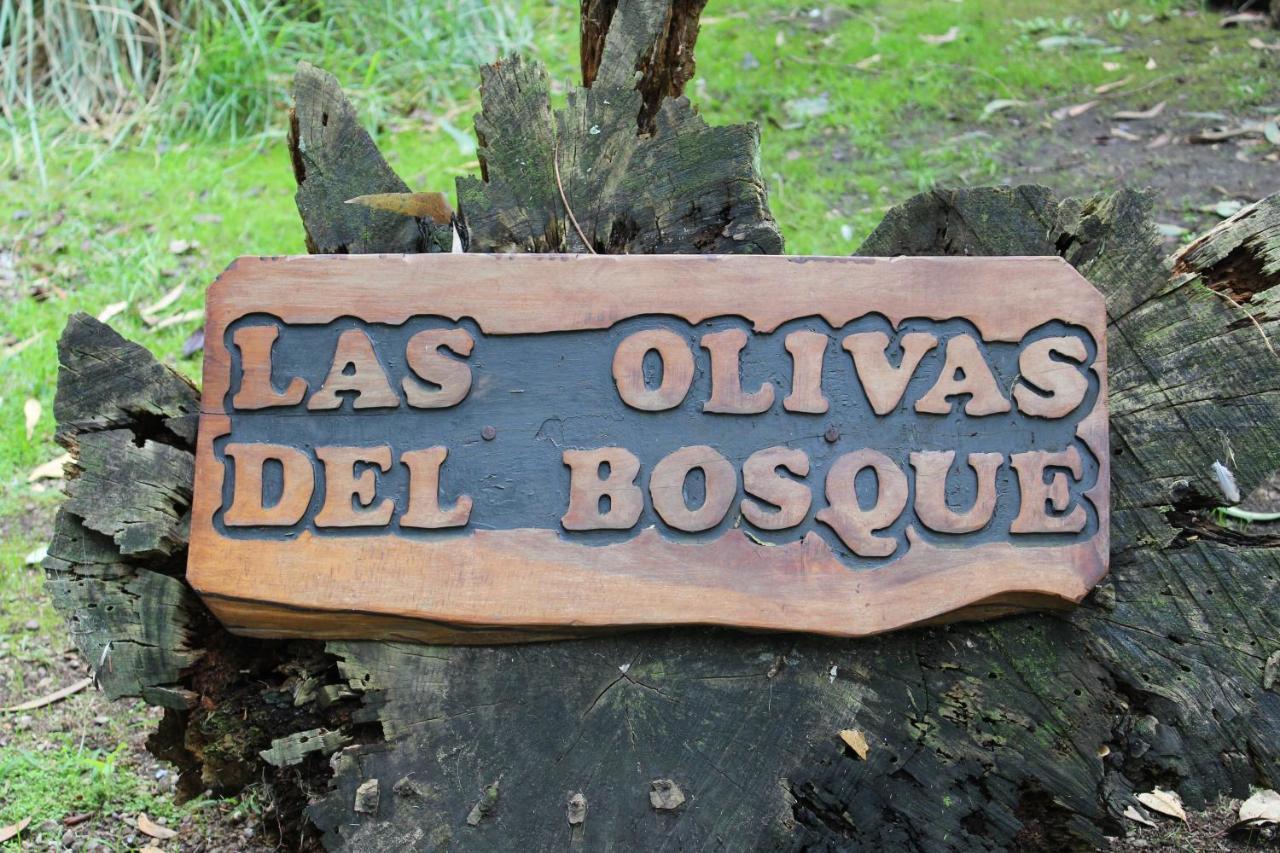 Сasa de vacaciones Las Olivas Mar del Plata