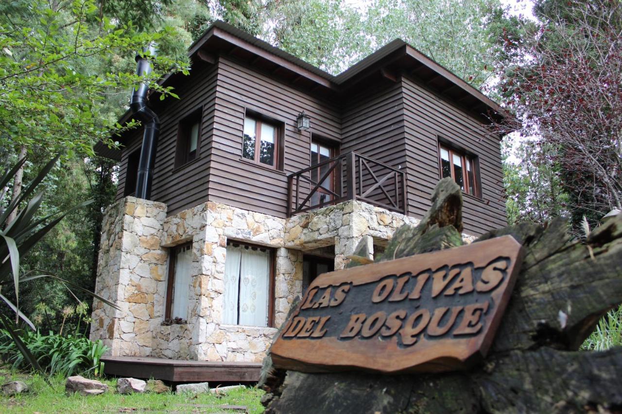 Las Olivas * Mar del Plata